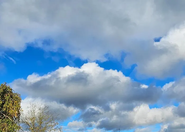 Appartement Waldblick-nest